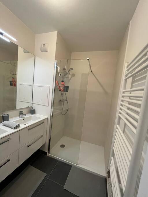 Magnifique Appartement Sur La Seine Alfortville Kültér fotó